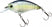 Ghost Sexy Shad