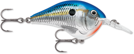 Buy blue-shad RAPALA DT SERIES CRANKBAITS / DT4 - DT6