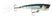 Prism Shad