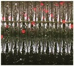 Buy green-pumpkin-w-red-flake-925 YAMAMOTO KUT TAIL WORM