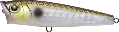 Buy matte-gizzard-shad YO-ZURI 3DR-X POPPER