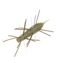 GEECRACK IMO KEMUSHI 95-17