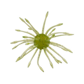 Buy 305-baby-bass YAMAMOTO UNI