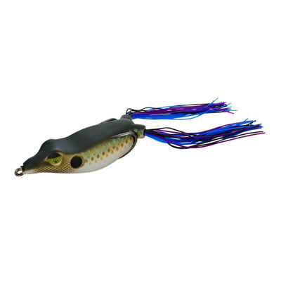 Buy gilly FROG FACTORY SONIC BOOM