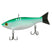 696 - Citrus Shad