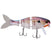 Ghost Gill