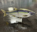 HINKLE SHAD GLIDEBAIT - PAINTED-1