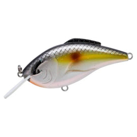 BILL LEWIS HAMMER FLAT - 0