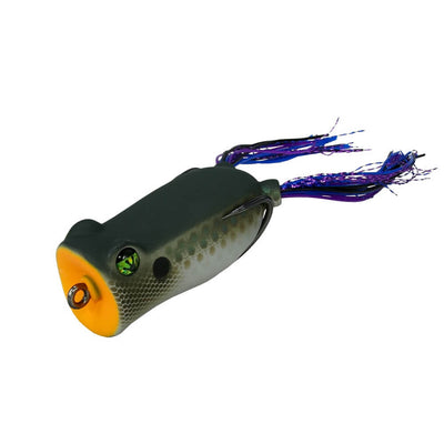 FROG FACTORY BOOM BOX
