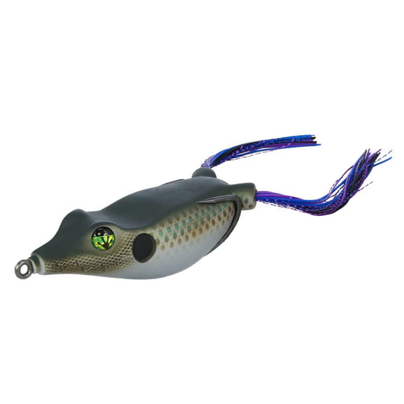 FROG FACTORY BIGGIE BOOM