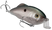 Green Gizzard