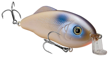 Buy oyster STRIKE KING HYBRID HUNTER JR CRANKBAIT