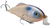 Oyster