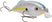 Sexy Shad 2.0