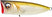 Matte Shad