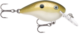 Buy lemon-shad RAPALA DT SERIES CRANKBAITS / DT4 - DT6