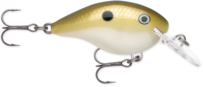 Buy lemon-shad RAPALA DT SERIES CRANKBAITS DT4-12