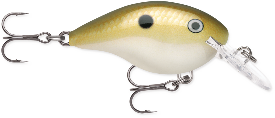 Buy lemon-shad RAPALA DT SERIES CRANKBAITS / DT4 - DT6