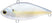 Chartreuse Shad