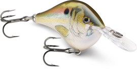 Buy live-river-shad RAPALA DT SERIES CRANKBAITS / DT4 - DT6