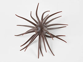 HIDEUP COIKE FULLCAST - 0