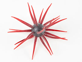 Buy 108-scuppernong HIDEUP COIKE FULLCAST