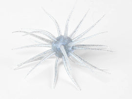 Buy 141-tamaranbai-blue HIDEUP COIKE FULLCAST