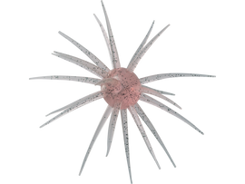 HIDEUP COIKE FULLCAST