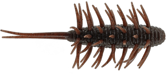 HIDEUP COIKE SHRIMP MEDIUM