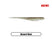 Gizzard Shad