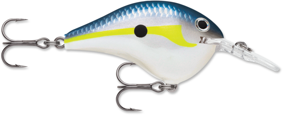 Buy helsinki-shad RAPALA DT SERIES CRANKBAITS / DT4 - DT6