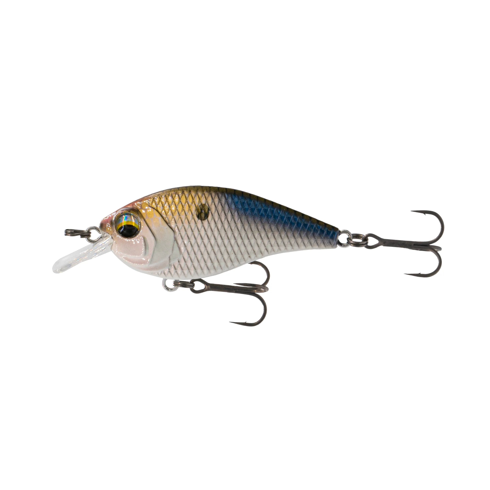 3 Crankbait Bait Ball – Tackling The Water