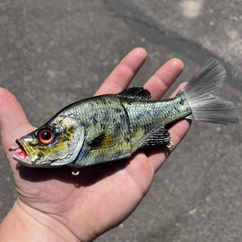 KGB SWIMBAITS CRAPPIE - 0