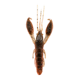 Buy 31-youngcraw CAPERLAN YUBARI CRW