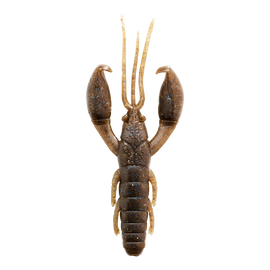 Buy 30-pumpkin-blue CAPERLAN YUBARI CRW