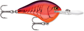 Buy demon RAPALA DT SERIES CRANKBAITS / DT12