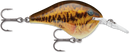 RAPALA DT SERIES CRANKBAITS / DT4 - DT6-49