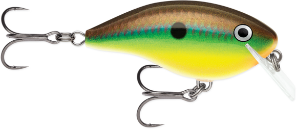RAPALA OG BIG ROCCO