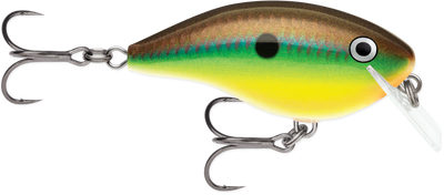 RAPALA OG BIG ROCCO