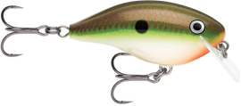 Buy copper-green-shad RAPALA OG BIG ROCCO