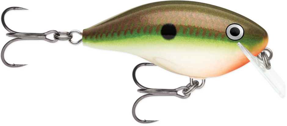 Buy copper-green-shad RAPALA OG BIG ROCCO