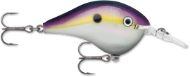 Buy big-shad RAPALA DT SERIES CRANKBAITS / DT14 - DT20