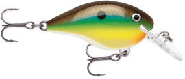 Buy bream RAPALA DT SERIES CRANKBAITS / DT4 - DT6