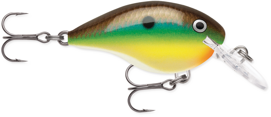 Buy bream RAPALA DT SERIES CRANKBAITS / DT4 - DT6