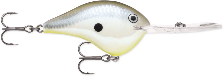 RAPALA DT METAL 20 CRANKBAIT | Copperstate Tackle