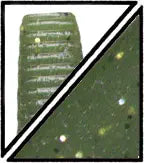 Buy 305-baby-bass YAMAMOTO 5&quot; PRO SENKO