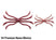 #04 Premium Natural Worm