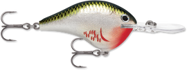 Buy bleeding-olive-shiner RAPALA DT SERIES CRANKBAITS / DT14 - DT20