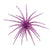 Plumpernickle