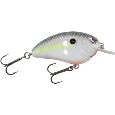 Buy nasty-shad SPRO LITTLE JOHN 50